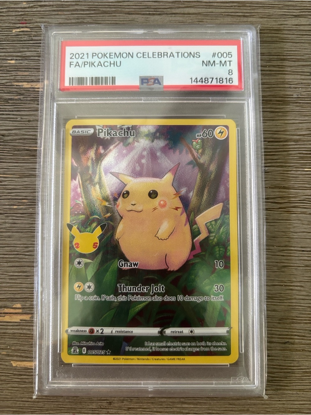 Pokemon Leafeon and Pikachu